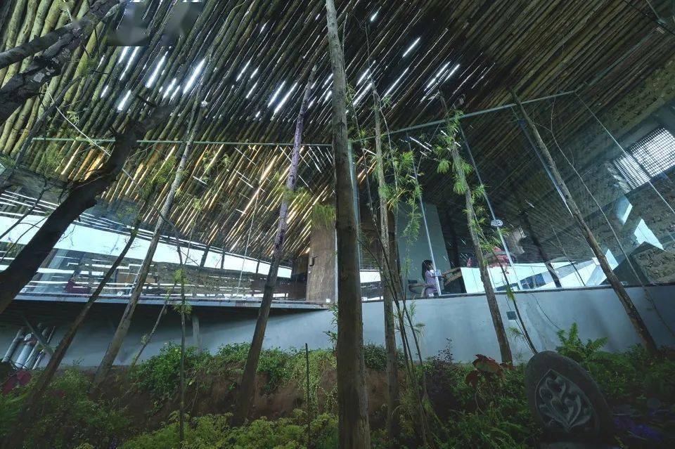 emc易倍：10个最佳住宅设计（2022更新版）(图47)