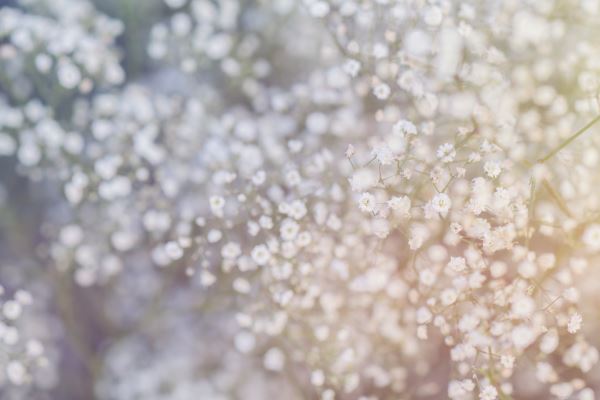 emc易倍：绿化超概算(工程超概算10%的规定文件)(图1)